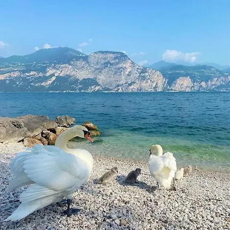 Con Vista Casa Gaspar Brenzone sul Garda